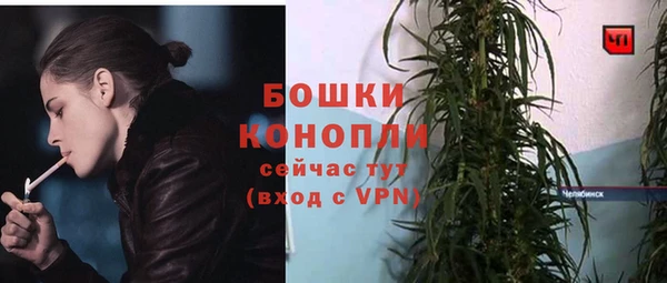 ПСИЛОЦИБИНОВЫЕ ГРИБЫ Кукмор