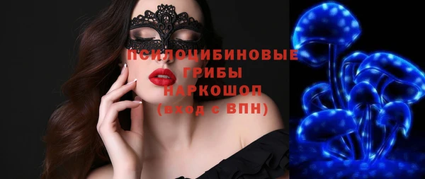 ПСИЛОЦИБИНОВЫЕ ГРИБЫ Кукмор