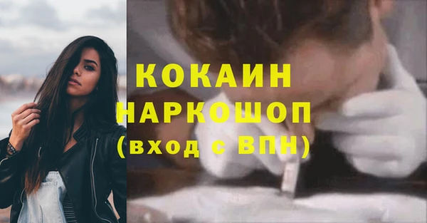 крисы Сясьстрой