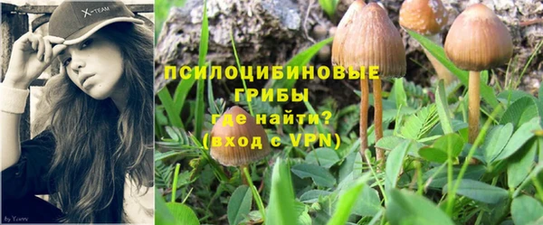 ПСИЛОЦИБИНОВЫЕ ГРИБЫ Кукмор