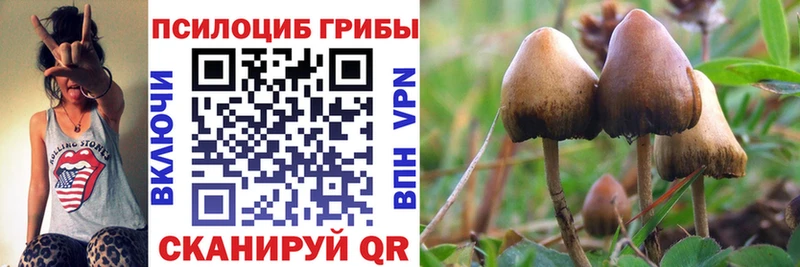 Псилоцибиновые грибы GOLDEN TEACHER наркота это Telegram Эртиль MEGA ссылка